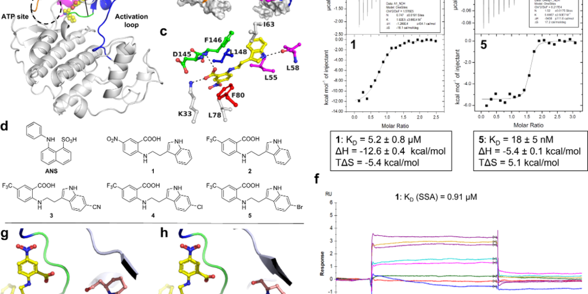 Compound models from a scientific article
