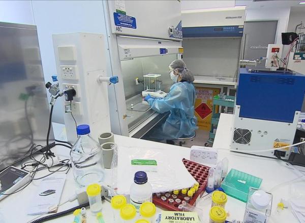 A scientist works under a hood in a laboratory