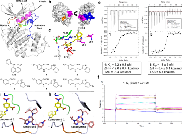 Compound models from a scientific article