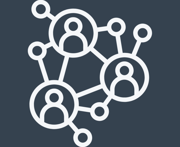 Resized Networking Icon